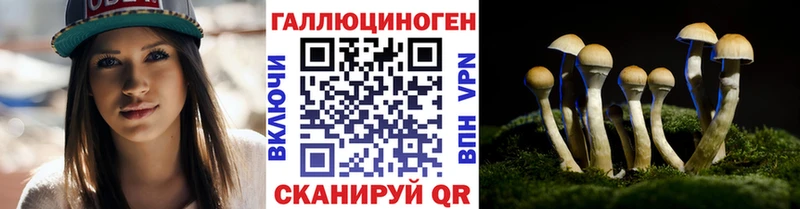 кракен онион  мориарти как зайти  Галлюциногенные грибы Psilocybe  Тимашёвск 
